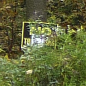 No Trespassing